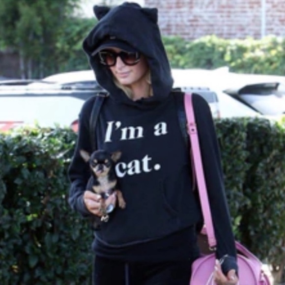 Wildfox Tops - 🐈⬛WILDFOX RARE “I’m A Cat” 3D Ears Hoodie Charcoal Gray Black ASO Paris Hilton